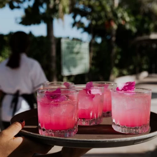 fc1b014d-171d-47bd-ad6e-8a60fe3727b6