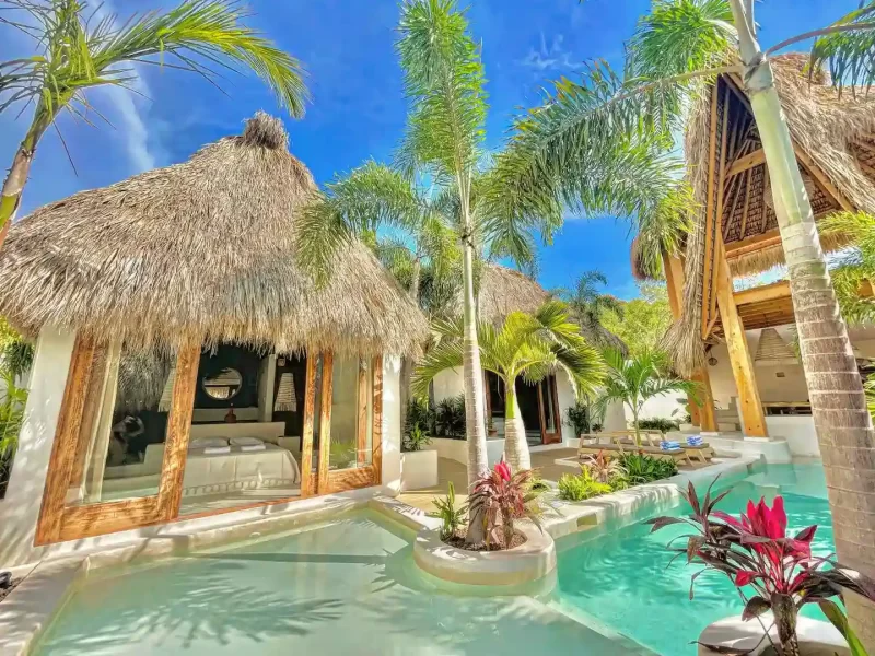 9f8377db-8e1c-4dfa-a508-9fb1df9b0cb2