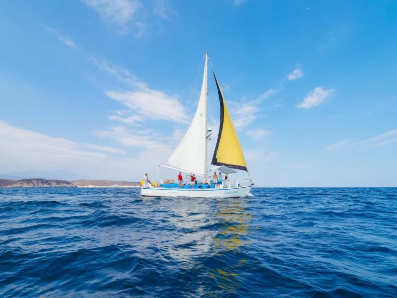 VELERO 44