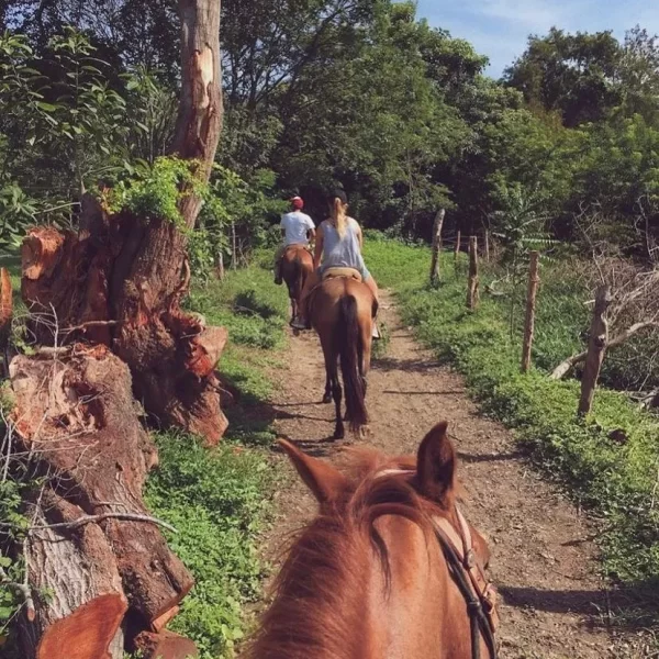 cabalgata2