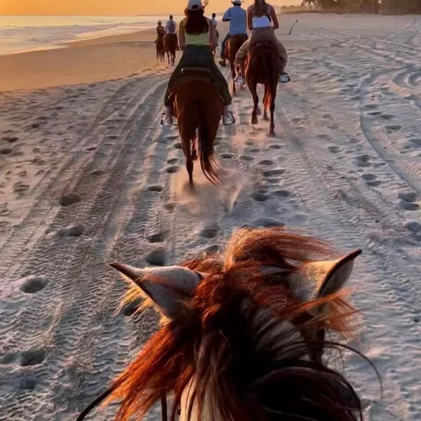 cabalgata3