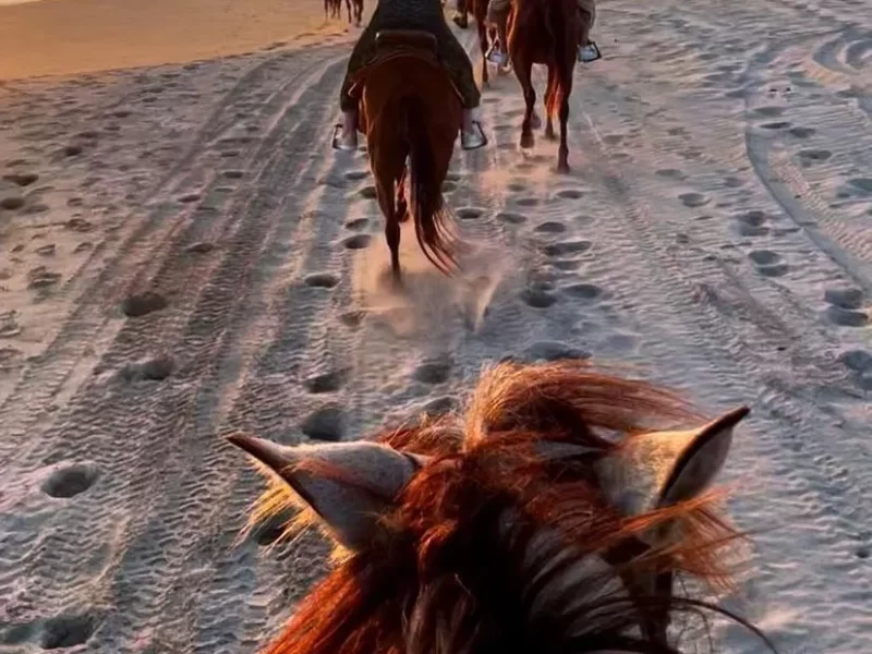 cabalgata3