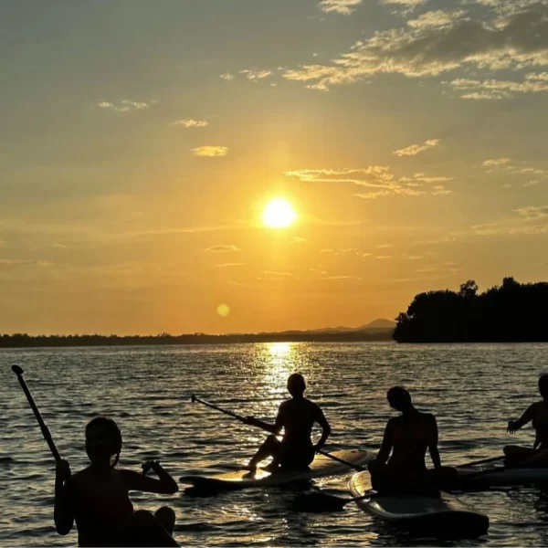 d4092be1-98de-4a79-90ce-0bfd155d6ce4