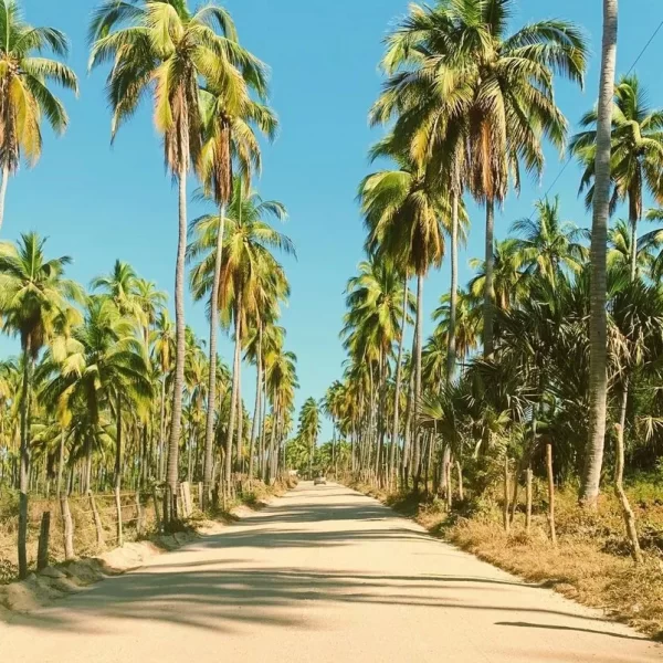 laguna4