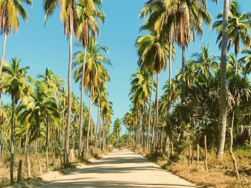 laguna4
